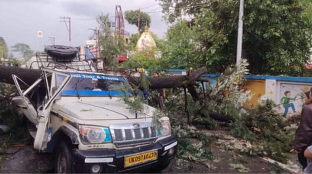 उत्तराखंड: चलती गाड़ी पर गिरा पेड़, एक सवारी की मौत,। कई घायल
