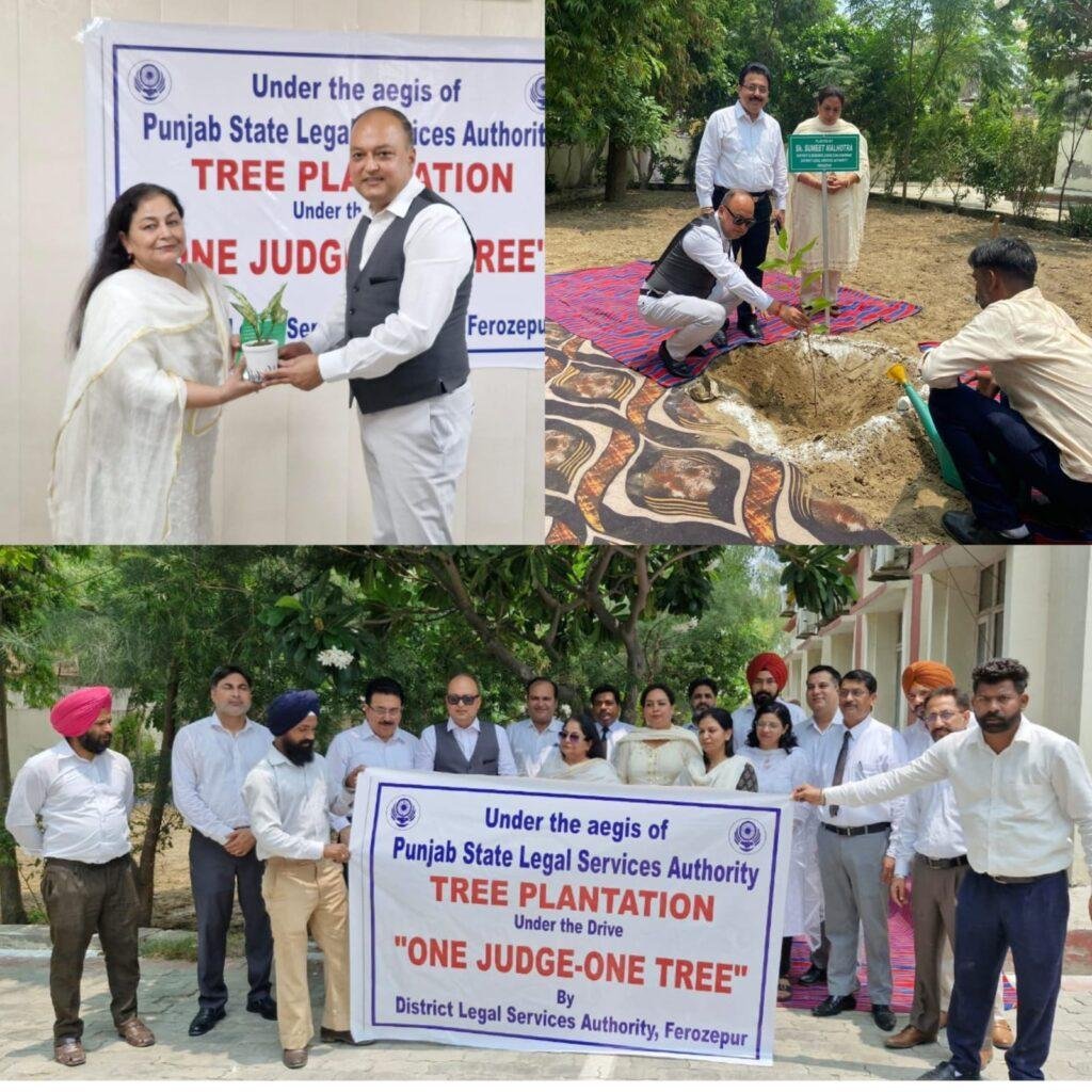 ਜ਼ਿਲ੍ਹਾ ਕਾਨੂੰਨੀ ਸੇਵਾਵਾਂ ਅਥਾਰਟੀ, ਫਿਰੋਜਪੁਰ ਵੱਲੋਂ ਰੁੱਖ ਲਗਾਓ ਮੁਹਿੰਮ “ਵਨ ਜੱਜ ਵਨ ਟ੍ਰੀ” ਤਹਿਤ ਲਗਾਏ ਬੂਟੇ