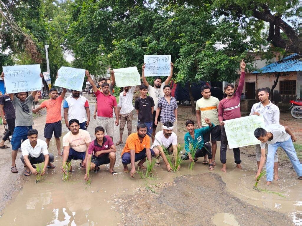 सरेनी पूरे पांडे मार्ग पर बने गड्ढों में ग्रामीणों ने धान रोप कर किया प्रदर्शन