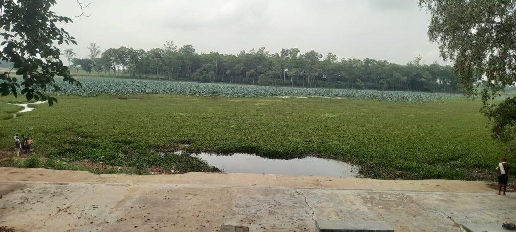 मेहनगर – 65 बीघा का मानसरोवर चढ़ा भ्रष्टाचार की भेंट