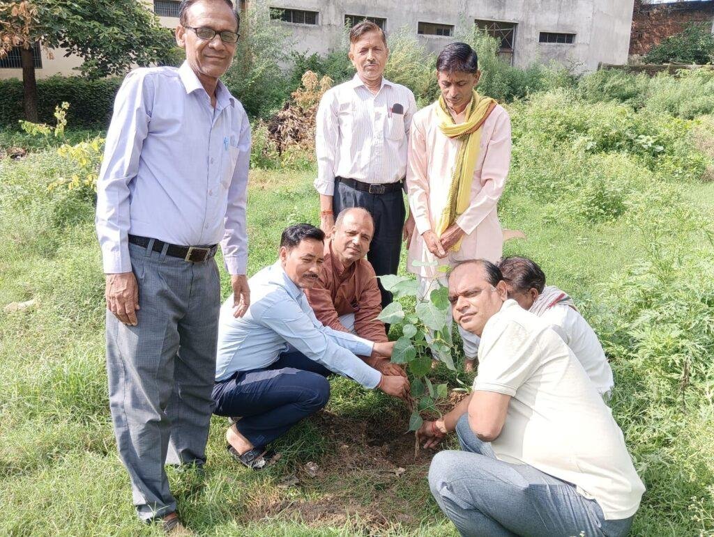 एक पेड़ मां के नाम
