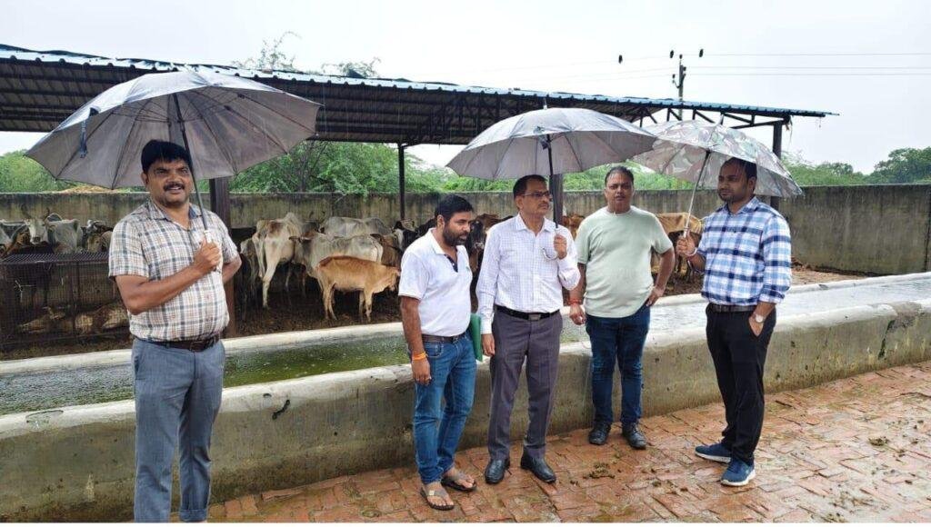 अमावां में गौशालाओं का निरीक्षण करके अधिकारियों ने देखी हकीकत