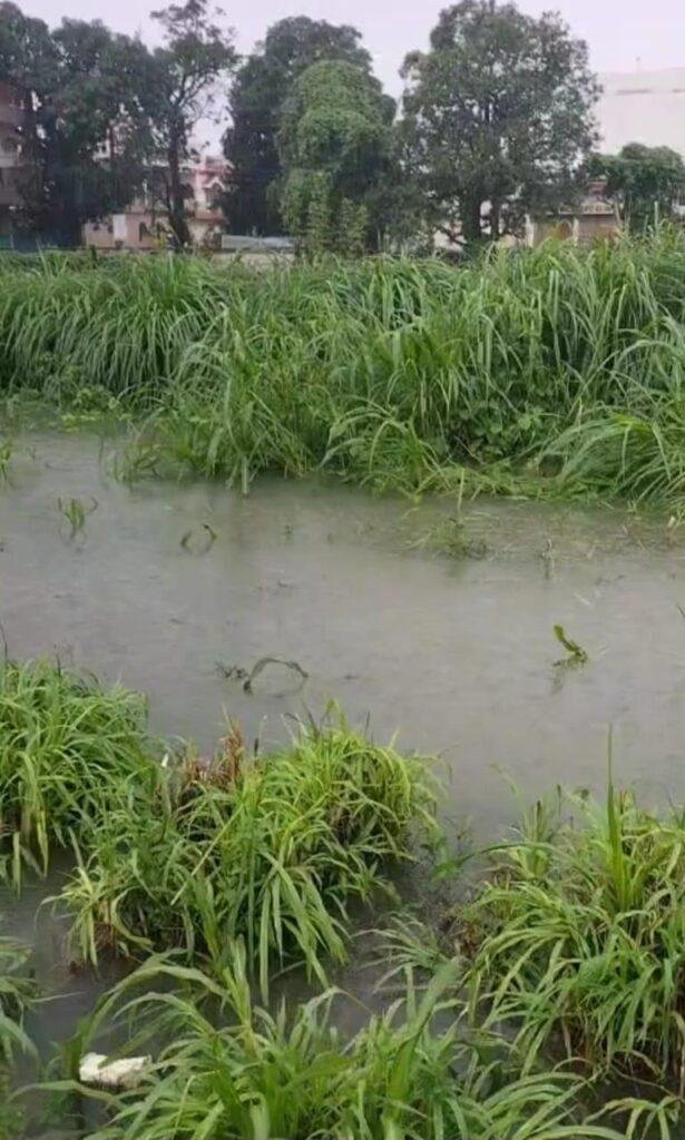 उत्तराखंड : देहरादून के बंजारावाला टी-स्टेट में भारी जलभराव