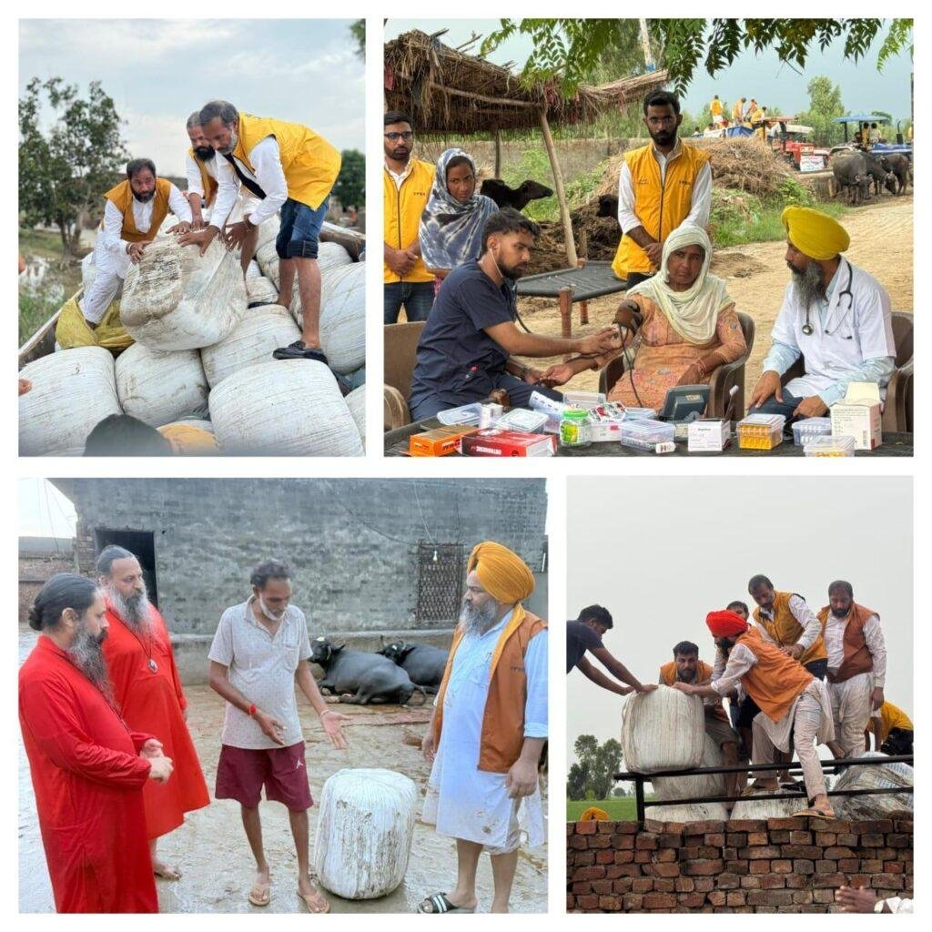 पंजाब में बाढ़ का कहर – दिव्य ज्योति जागृति संस्थान द्वारा पशुओं के लिए दवाइयाँ, चारा और राशन, पशु चिकित्सा सहायता, दुर्गम स्थानों पर सहायता