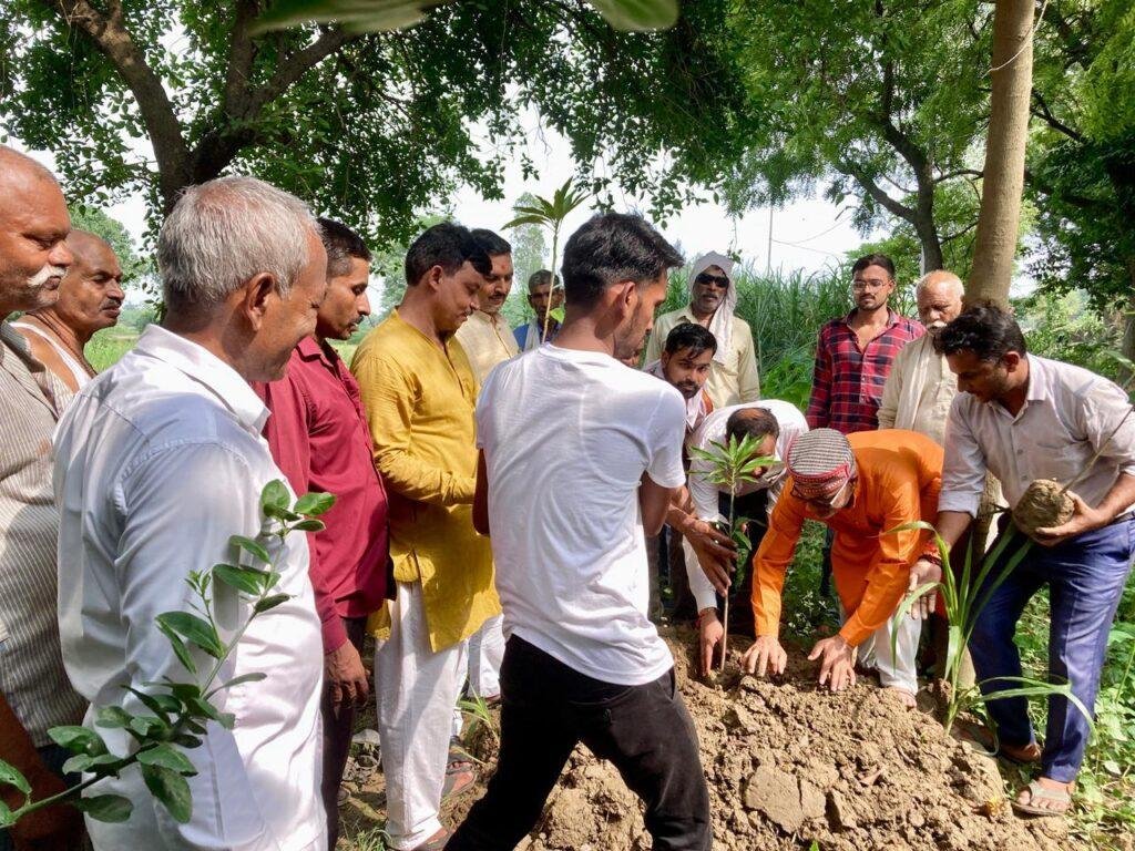 पूर्वजों की स्मृति में चंदाभरी ग्राम पंचायत मे किया गया   वृक्षारोपण