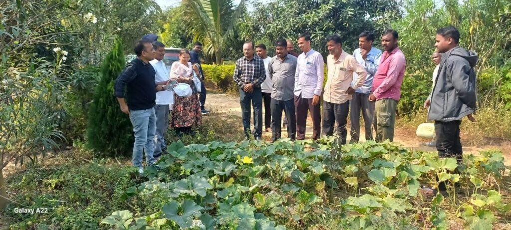 कलेक्टर श्री महोबे पहुंचे प्रगतिशील किसान श्री छबी राम डडसेना के खेत