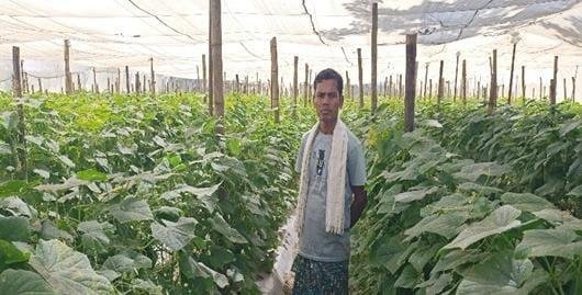 बंदूक की गूंज से फलों और फूलों की महक तक का सफर