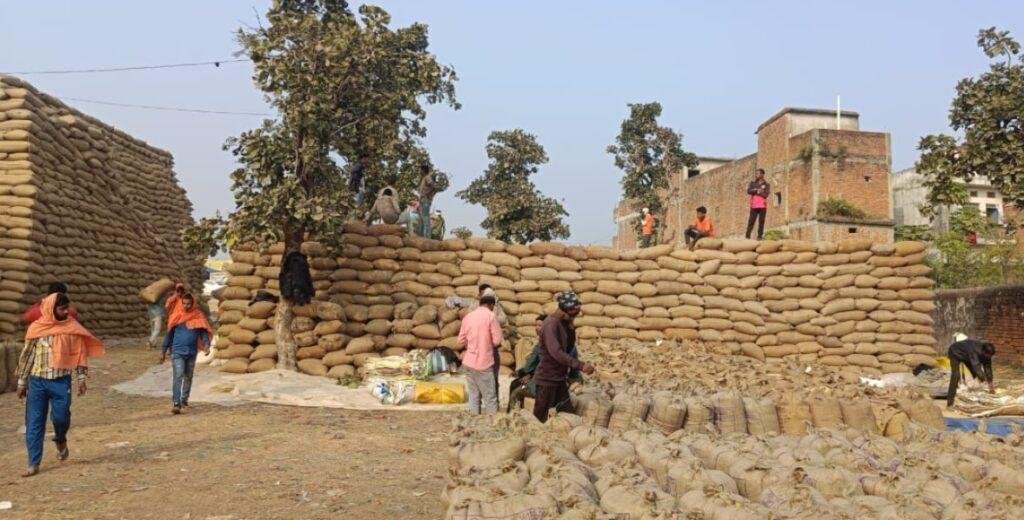 जिले के 8 हजार से अधिक अन्नदाताओं से 4.43 लाख क्विंटल से अधिक धान की खरीदी