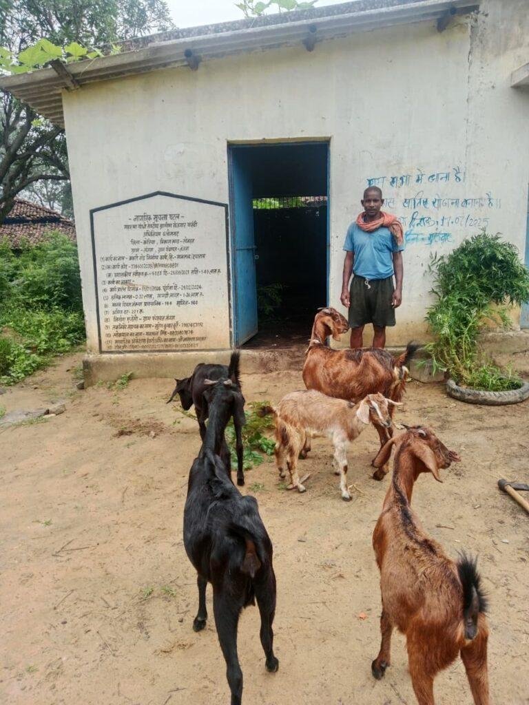 बकरी पालन में अतिरिक्त आय से फूलसाय हो रहे हैं आर्थिक तौर पर आत्मनिर्भर