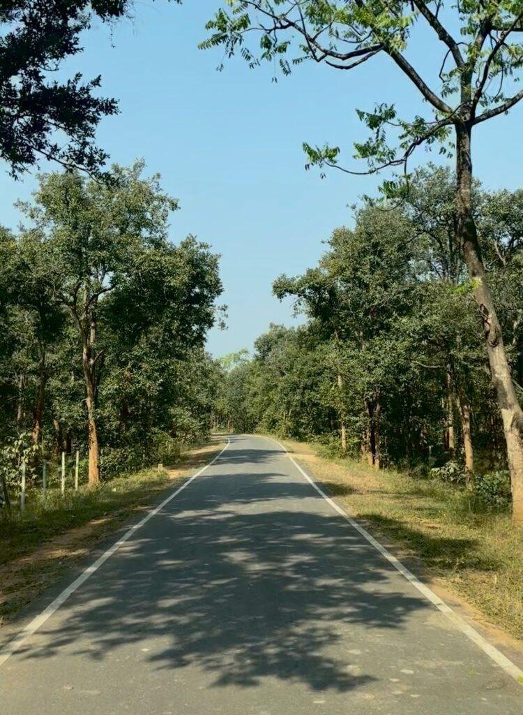 पीएम जनमन योजना से बदली ग्राम बांसकुड़ा कमार बस्ती की तस्वीर