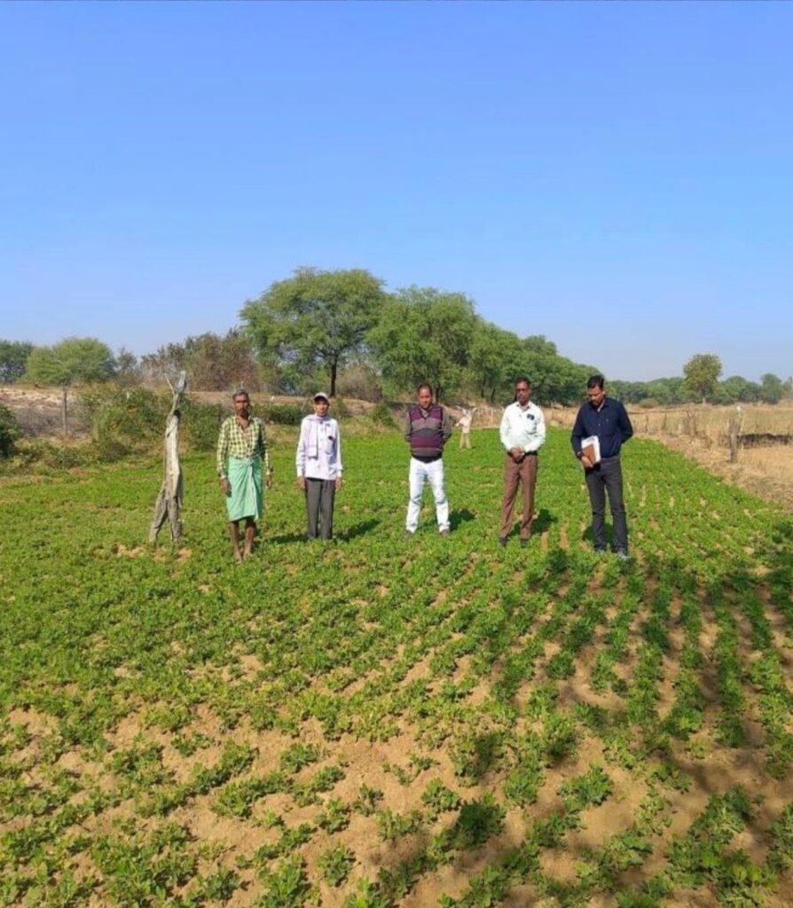 फसल चक्र परिवर्तन :धान से विविध फसलों की ओर बढ़ता धमतरी का किसान