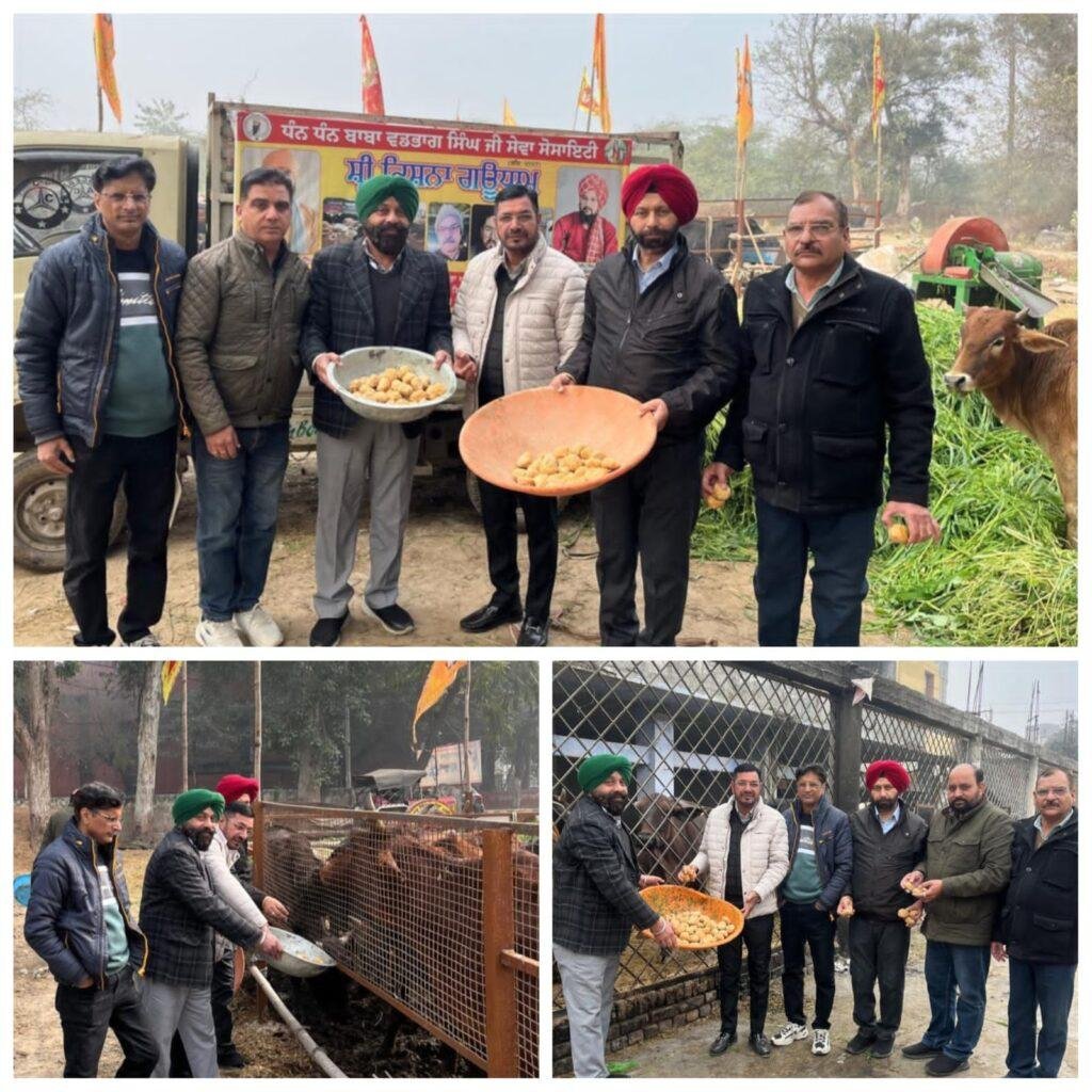 ਰੋਟਰੀ ਕਲੱਬ ਫਿਰੋਜ਼ਪੁਰ ਦੇ ਪ੍ਰਧਾਨ ਕਿਰਪਾਲ ਸਿੰਘ ਮੱਕੜ ਦੀ ਅਗਵਾਈ ਹੇਠ ਵੱਖ-ਵੱਖ ਖੇਤਰਾਂ ਵਿੱਚ ਬਣੇ ਗਊਸ਼ਾਲਾਵਾਂ ਵਿੱਚ ਟੀਮ ਨਾਲ ਜਾ ਕੇ ਗੁੜ ਅਤੇ ਹਰਾ ਚਾਰਾ ਵੰਡਿਆ ਗਿਆ