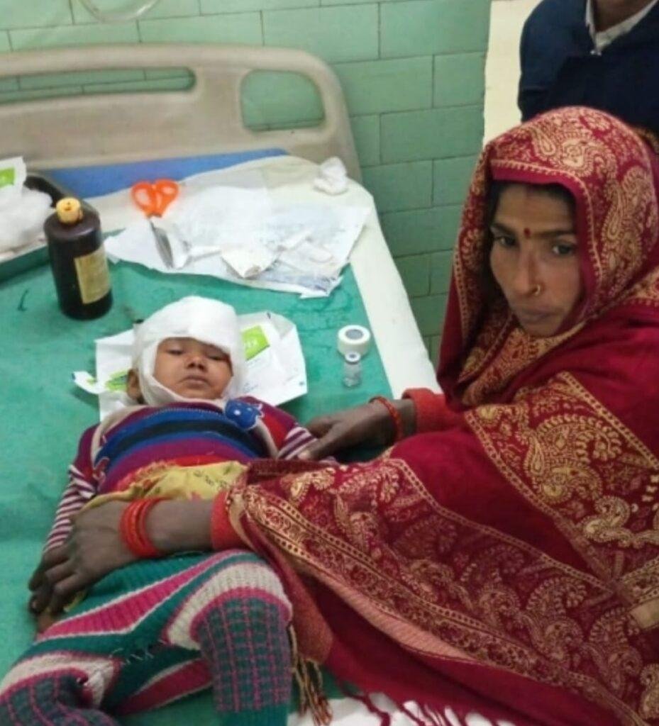 मनकरी गांव में आवारा कुत्ते का आतंक। कुत्ते के हमले से पांच लोग हुए घायल। एक बच्ची की हालत गंभीर