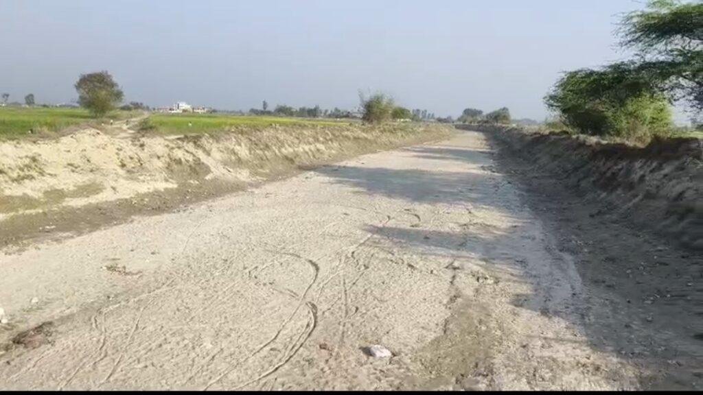 नहरों में पानी के अभाव में फसलें बर्बाद हो रही है किसान काफी परेशान-राजनेत यादव