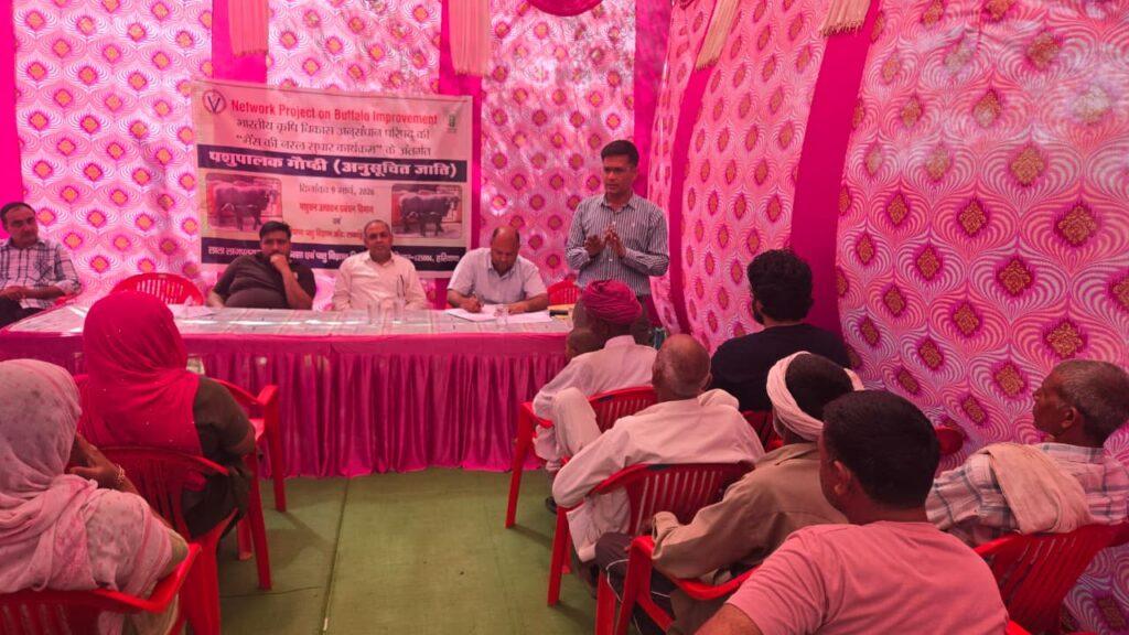 लुवास द्वारा झज्जर के मेहराना गांव में पशुपालकों के लिए डेयरी प्रशिक्षण गोष्ठी का आयोजन