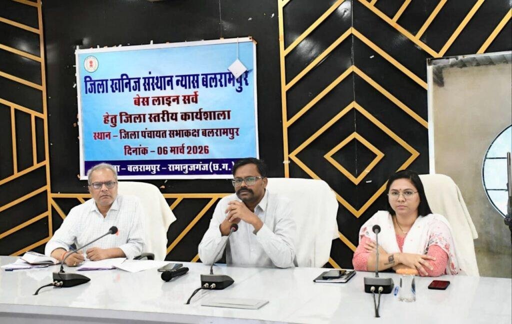 डीएमएफ अंतर्गत बेस लाइन सर्वे हेतु जिला स्तरीय कार्यशाला संपन्न