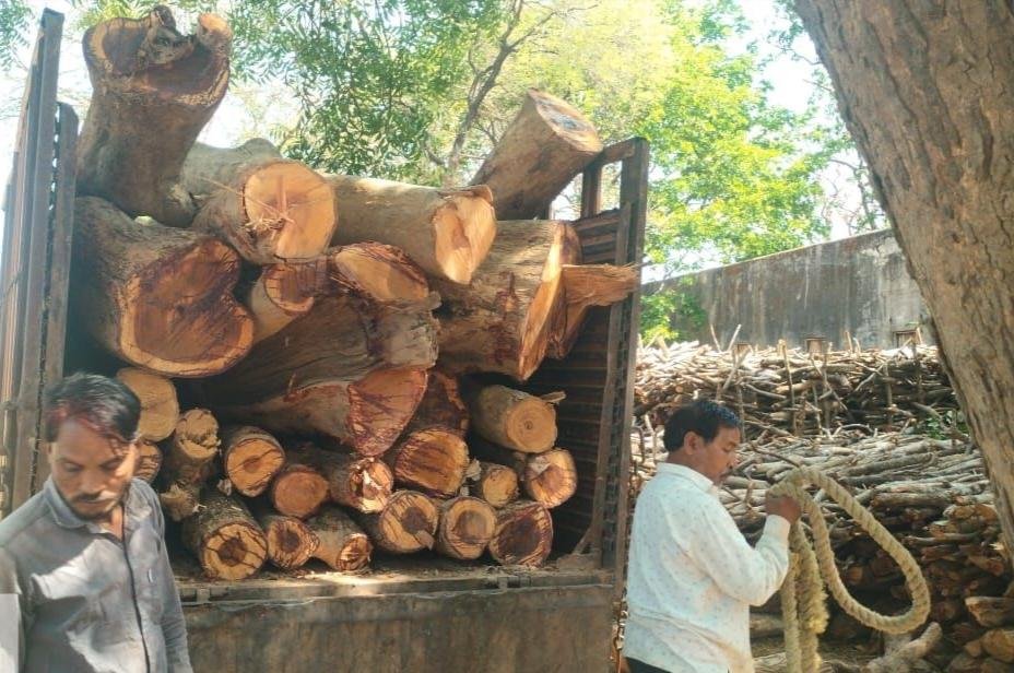 महासमुंद वनमंडल में अवैध लकड़ी परिवहन पर प्रभावी कार्रवाई 