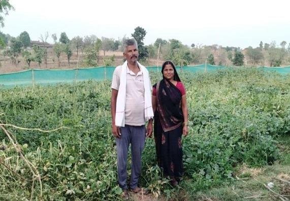 मनरेगा से निर्मित सिंचाई कूप बना किसानों की खुशहाली का आधार