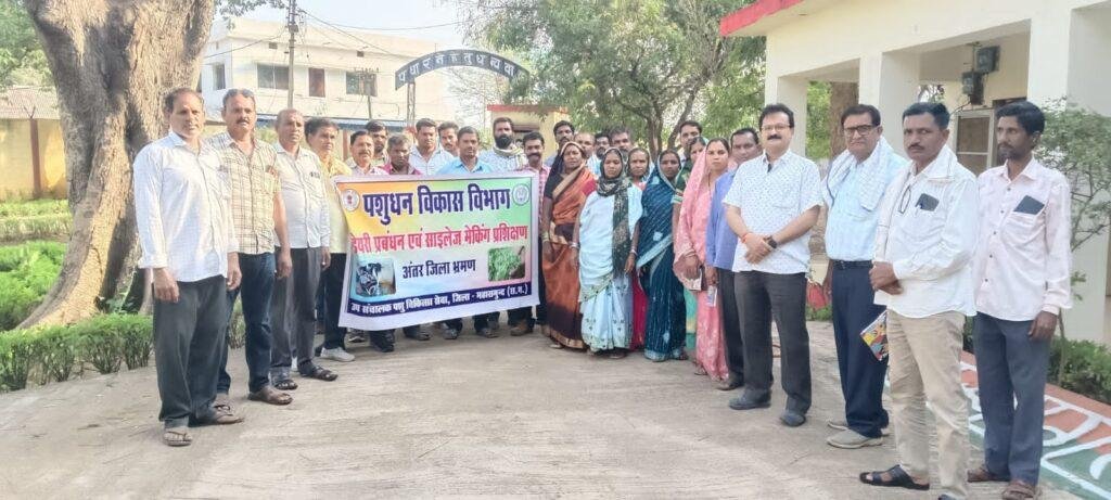 महासमुन्द जिले में दुग्ध उत्पादन पशुपालकों का महत्वपूर्ण आय का जरिया