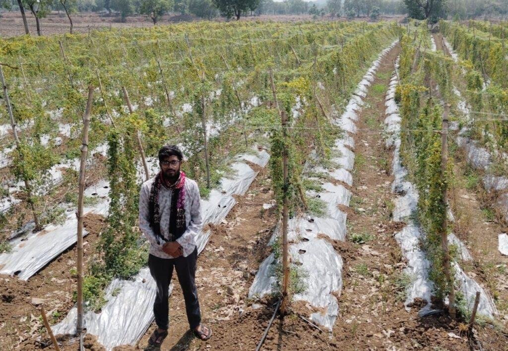राष्ट्रीय बागवानी मिशन योजना 