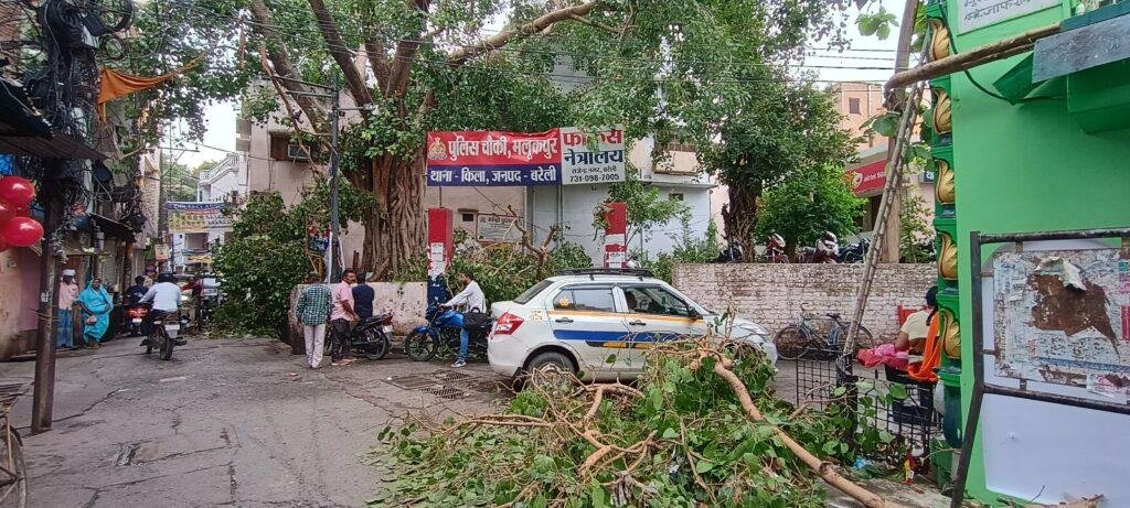 रात आई तेज़ आँधी पानी ने पेड़ को जमीन से और छोड़ा