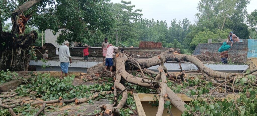 पीपल का पेड़ गिरने से दो घरों को भारी नुक़सान, एसडीएम निधि शुक्ला ने राहत कोष‌ से हरसंभव मदद दिलाने का दिया आश्वासन