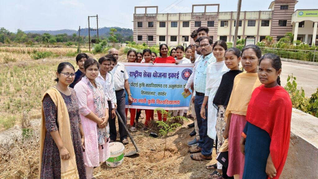 विश्व पर्यावरण दिवस