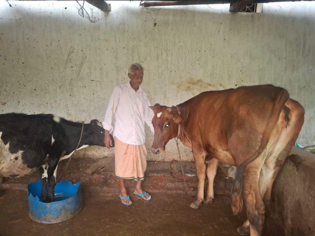 पीएम किसान सम्मान निधि की बचत से खरीदी पहली गाय, आज 10 गायों के साथ आत्मनिर्भर बने 75 वर्षीय परशुराम गुप्ता