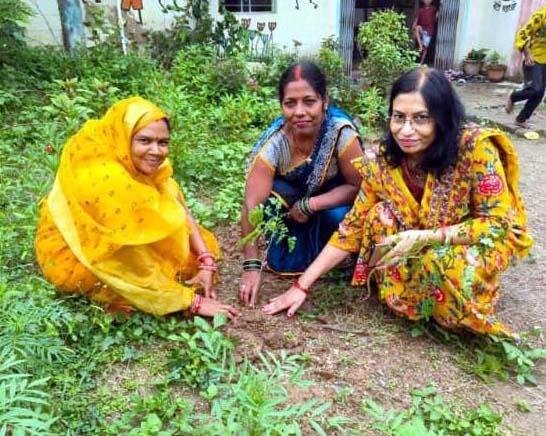 आंगन मिलन सेवा में गूंजा पोषण और सेवा का संदेश, चिरई पानी में रोपे गए मुनगा के पौधे आंगनबाड़ी कार्यकर्ताओं व मितानिनों का हुआ सम्मान