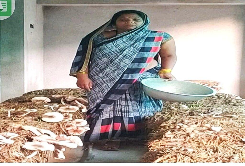 गरीबी से जुझ रही 14 महिलाओं ने समूह बनाकर आजीविका की नई राह गढ़ी